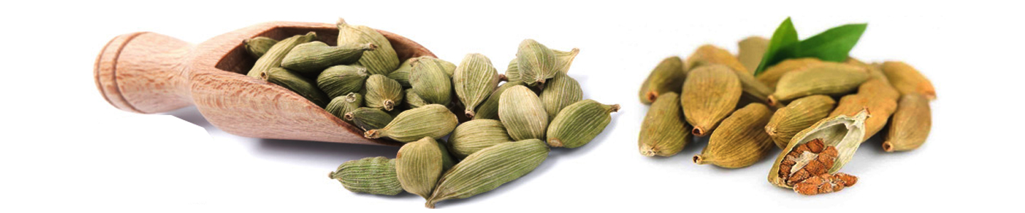 Litrava Cardamom Export